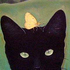 The butterfly...