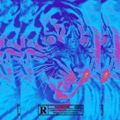 HENDRIX IN THE MIX VOL1