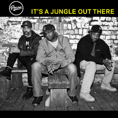 Pecoe - It's A Jungle Out There