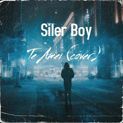 Siler Boy Te Amei(Cover - Dj Black Spigo)