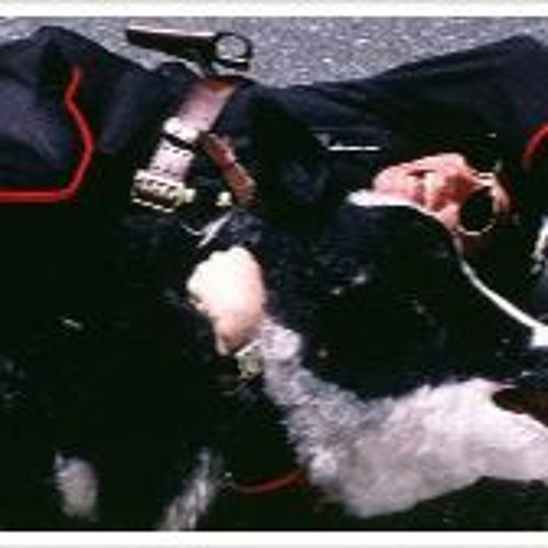 Stream Me Myself Irene 2000 Full Movie Streaming Online in
