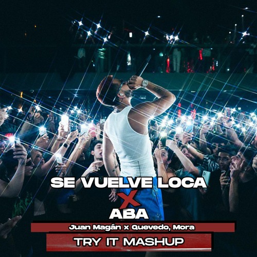 Se Vuelve Loca x APA (Try It Mashup) | Juan Magan x Mora, Quevedo