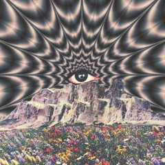 Ketta - Lsd Experiment