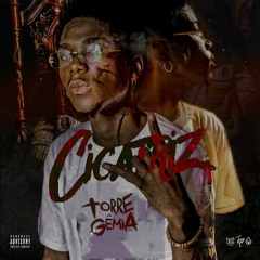 Cicatriz [Prod. Terrabyte]