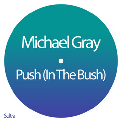Push (In The Bush) (Club Mix)