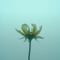 designher