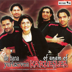 Hayatımı Mahvettin