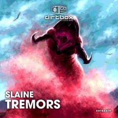 Slaine- Mirror (Tremors LP)- Dirtbox Recordings- DRTBX029- 2022