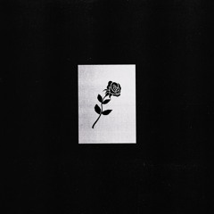 Ten Days of Falling