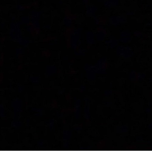 Don't Don't Do It (N.E.R.D. Cover)