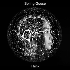 Spring Goose - Think