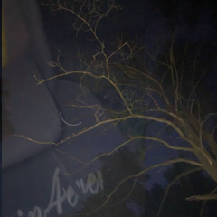 Ночной Листопад (prod.gasepill)