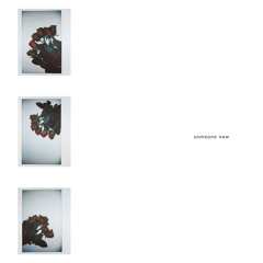 birds at night_someone new_master