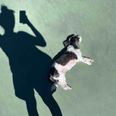 Tennis Daddy