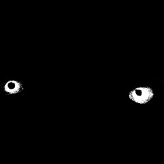 Dry Wind Session (4/19/23)