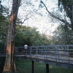 Multo by Cup Of Joe (a short cover) | sam