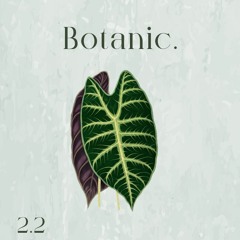 Botanic Sprout - 2.2 - Izauro