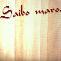 Saibo Maro X Sachin Jigar X Snehal Shah