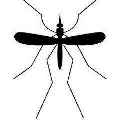 Darlex - Mosquito (Abraham ET Remix)