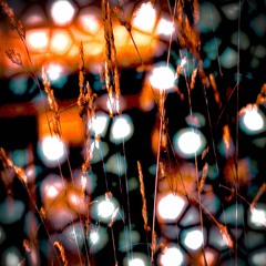RITVS001 - ORDINE NERO
