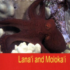 READ EBOOK 📒 Snorkel Maui Lanai and Molokai Guide to the Beaches and Snorkeling of H