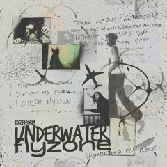 Underwater FlyZone (lost project 2018)