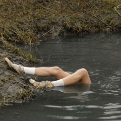 lucille- fallacy motel cover