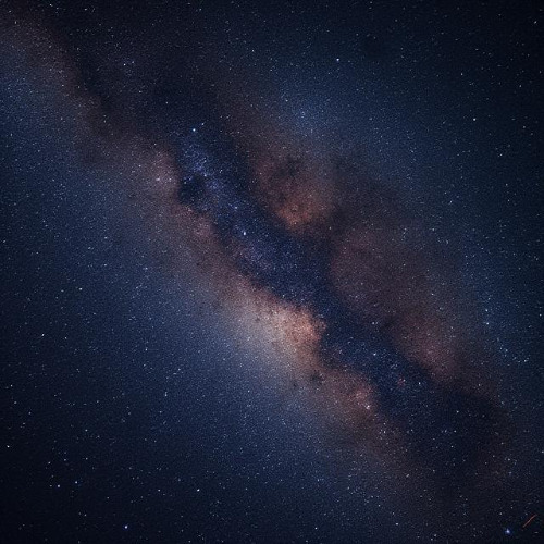 THE STARS