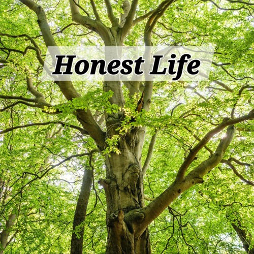 Honest Life (Cover)