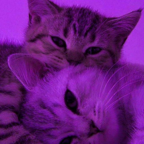 big rush - magia (speedplug & remastered)