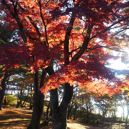 過去になれない
