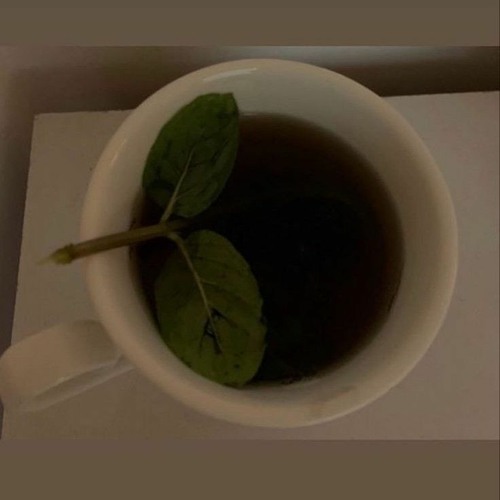 شوقي إليك مجدد | أبو الزبير