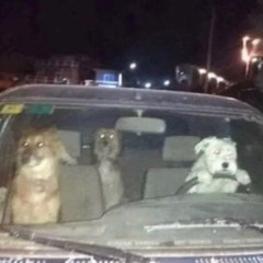 🍓ྀི⁺˚⋆｡°✩₊Hot Birthday Mix 2025 *ೃ