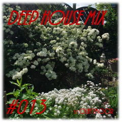 Deep House Mix #013 by Olaf TMoor