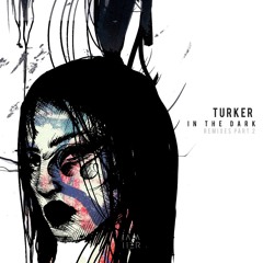 Turker (TR) - In the Dark (Samir Kuliev to the light Remix)