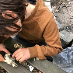 Woensdag, Dag Van De Doden