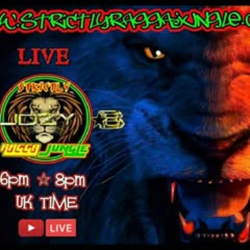 Stream RAGGA JUNGLE DRUM AND BASS MIX 2022 reggae dnb LIVE RAGGA JUNGLE DJ by DJ RUDZY B