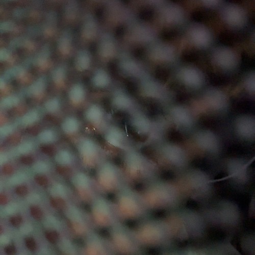 Another freestyle