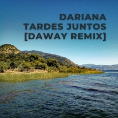 Dariana - Tardes Juntos [DAWAY Remix]