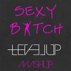 David Guetta - Sexy Bitch (LEVEL UP MASHUP)