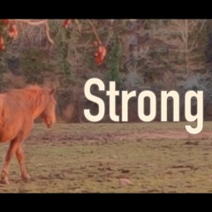 Strong - by Tim Valen