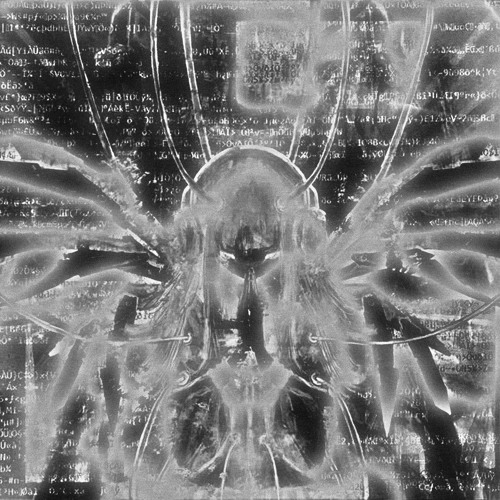 Stream Lightforce Join Me Beansclub Bootleg By Beansclub Listen