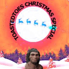 TOASTEDTOES CHRISTMAS SPECIAL
