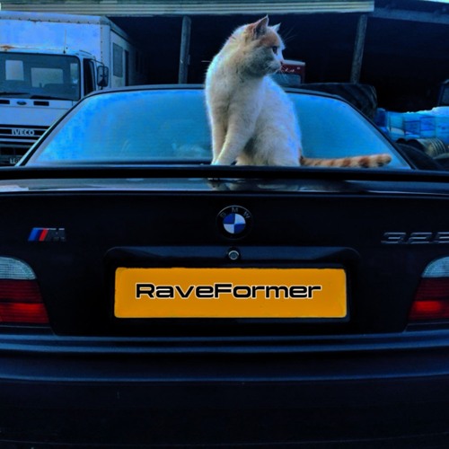 RaveFormer - In The Fire