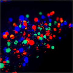 Improvisation_181225_Keep Moving