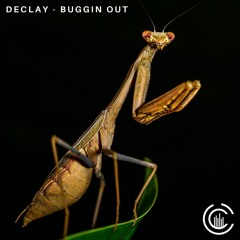 DECLAY - Buggin Out