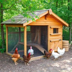 Chicken coop