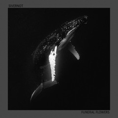 SIVERNOT - Мать-земля (Funeral Flowers Remix)