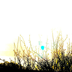 Забери моё сердце захвати всё написанное мной (Muzub.net)