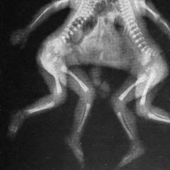 Big Bet (prod.ayobleak) [demo]